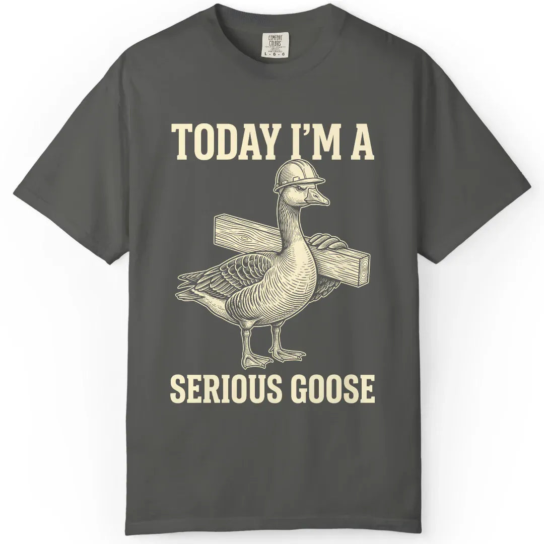 Serious Goose