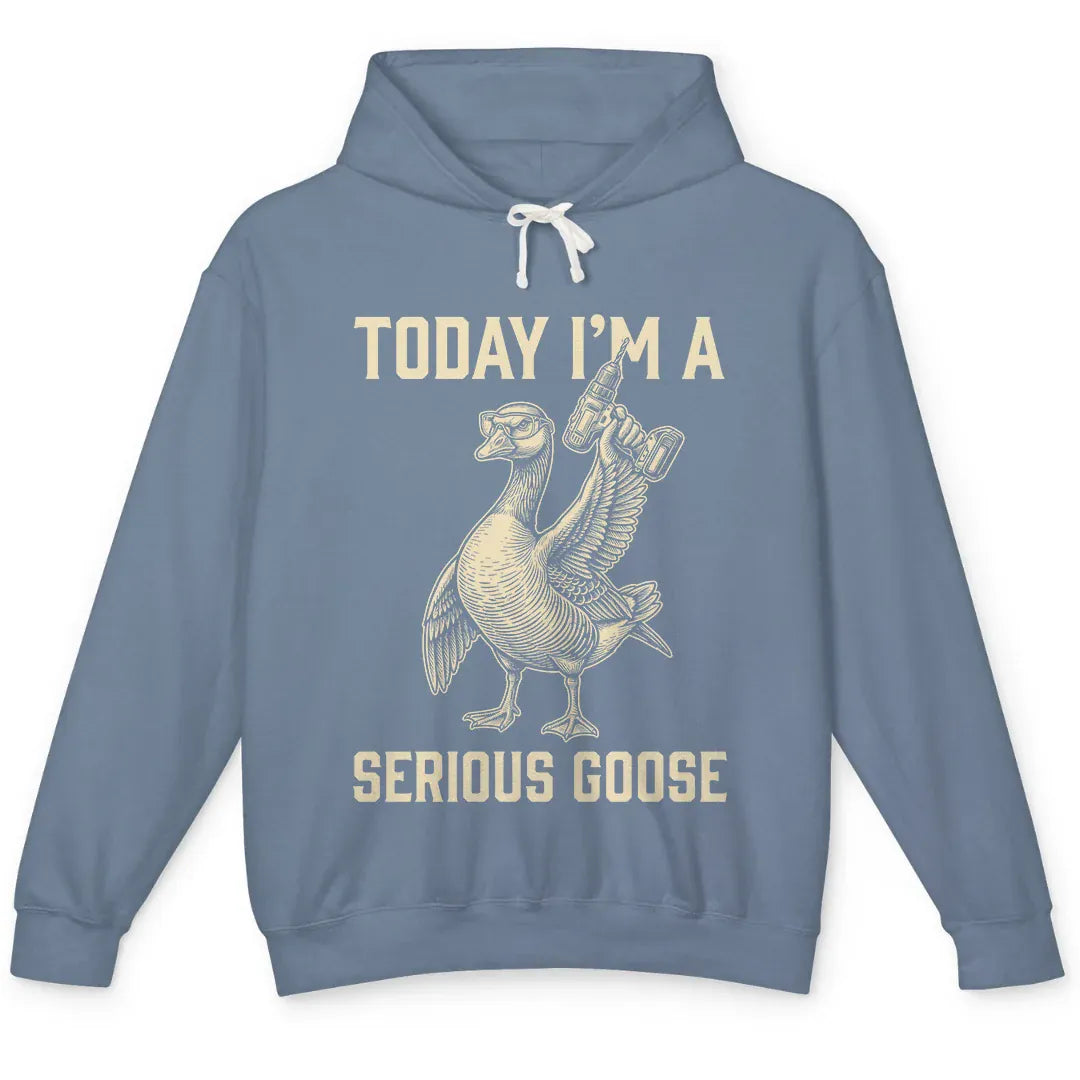 I'm a Serious Goose