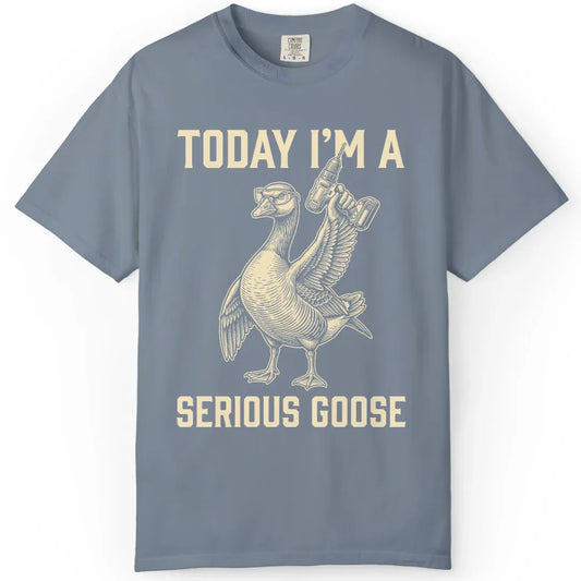 I'm a Serious Goose