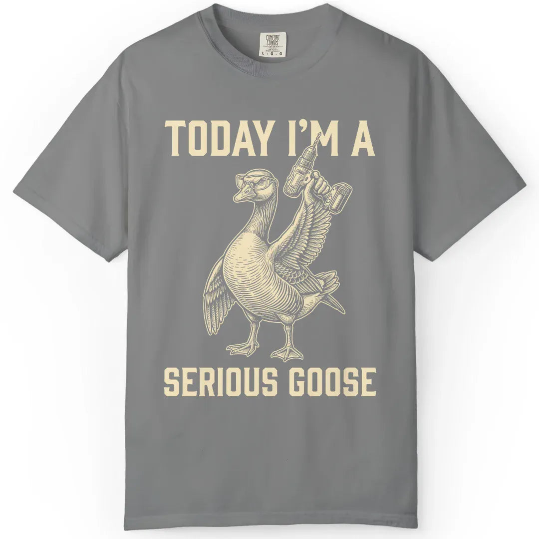 I'm a Serious Goose