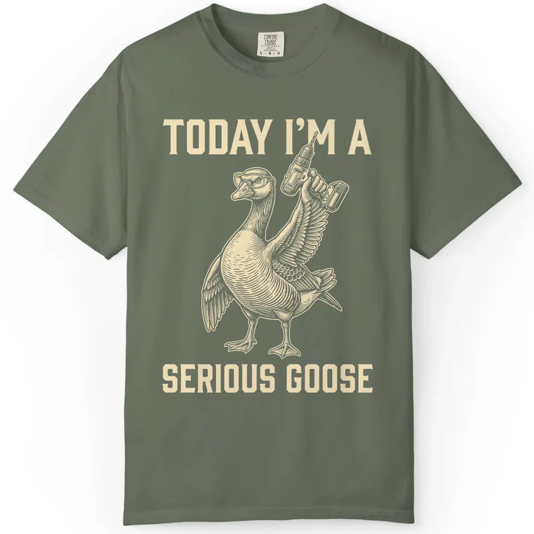 I'm a Serious Goose