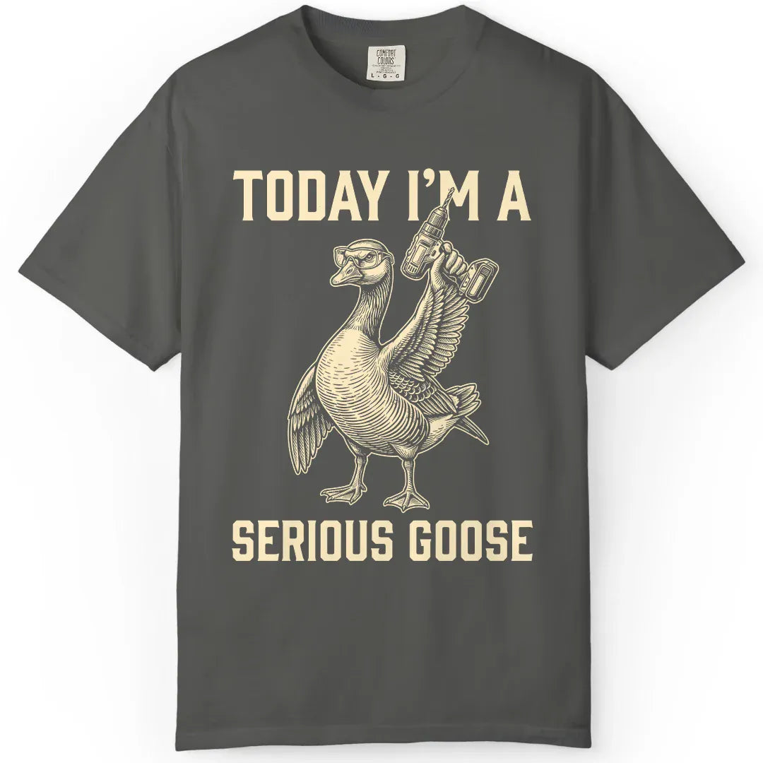 I'm a Serious Goose