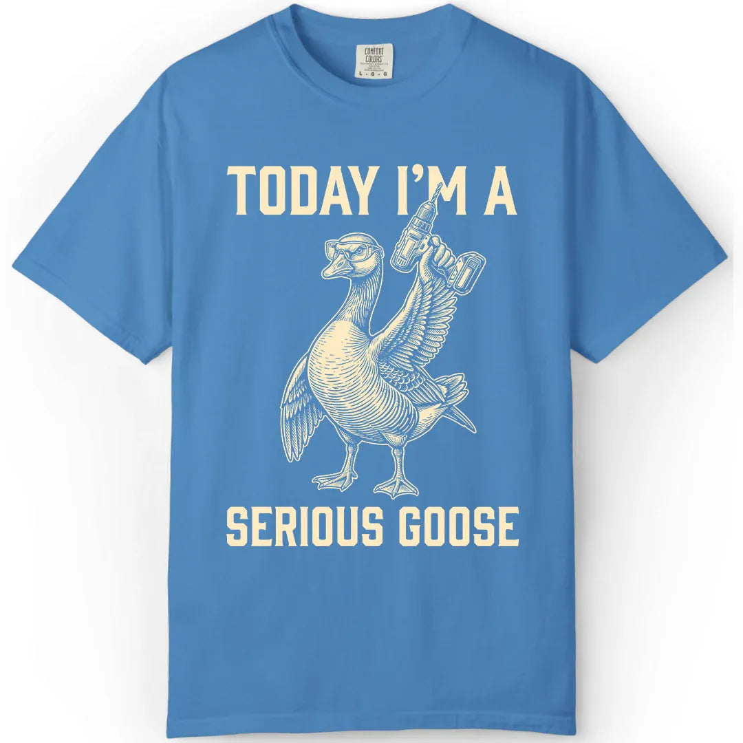 I'm a Serious Goose
