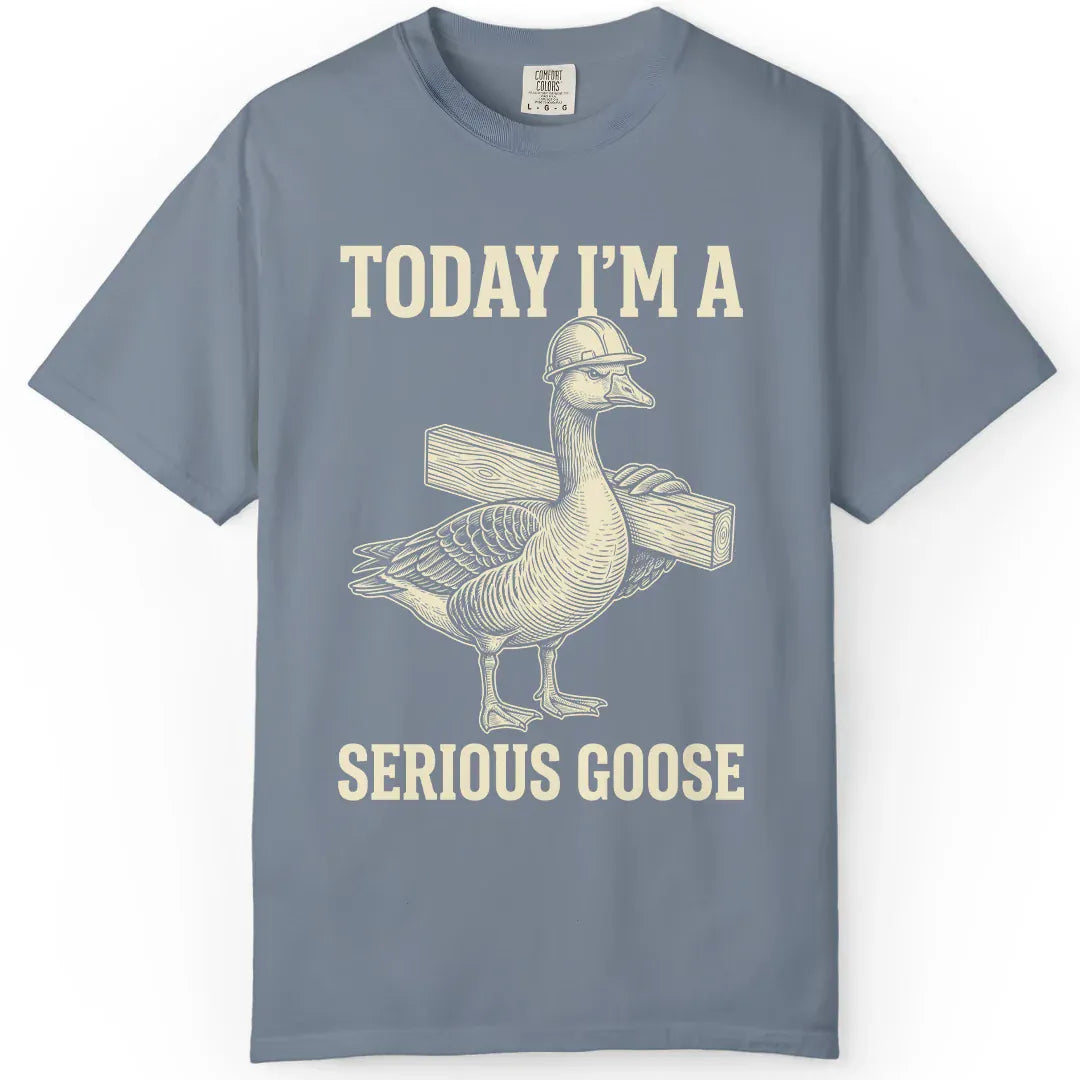 Serious Goose