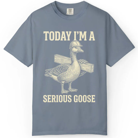 Serious Goose