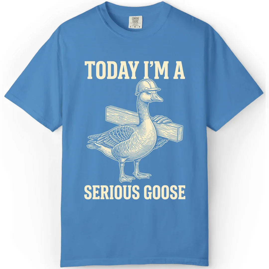 Serious Goose