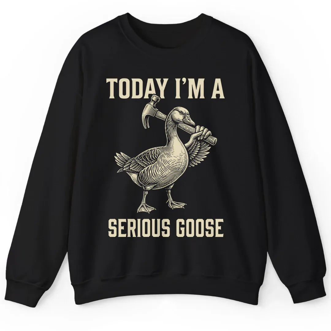 Today I'm Serious