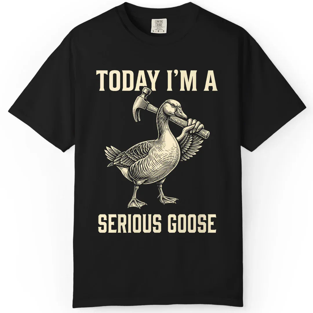 Today I'm Serious