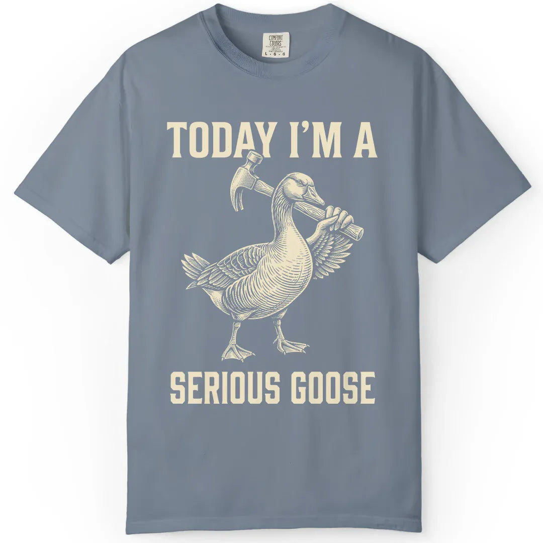 Today I'm Serious