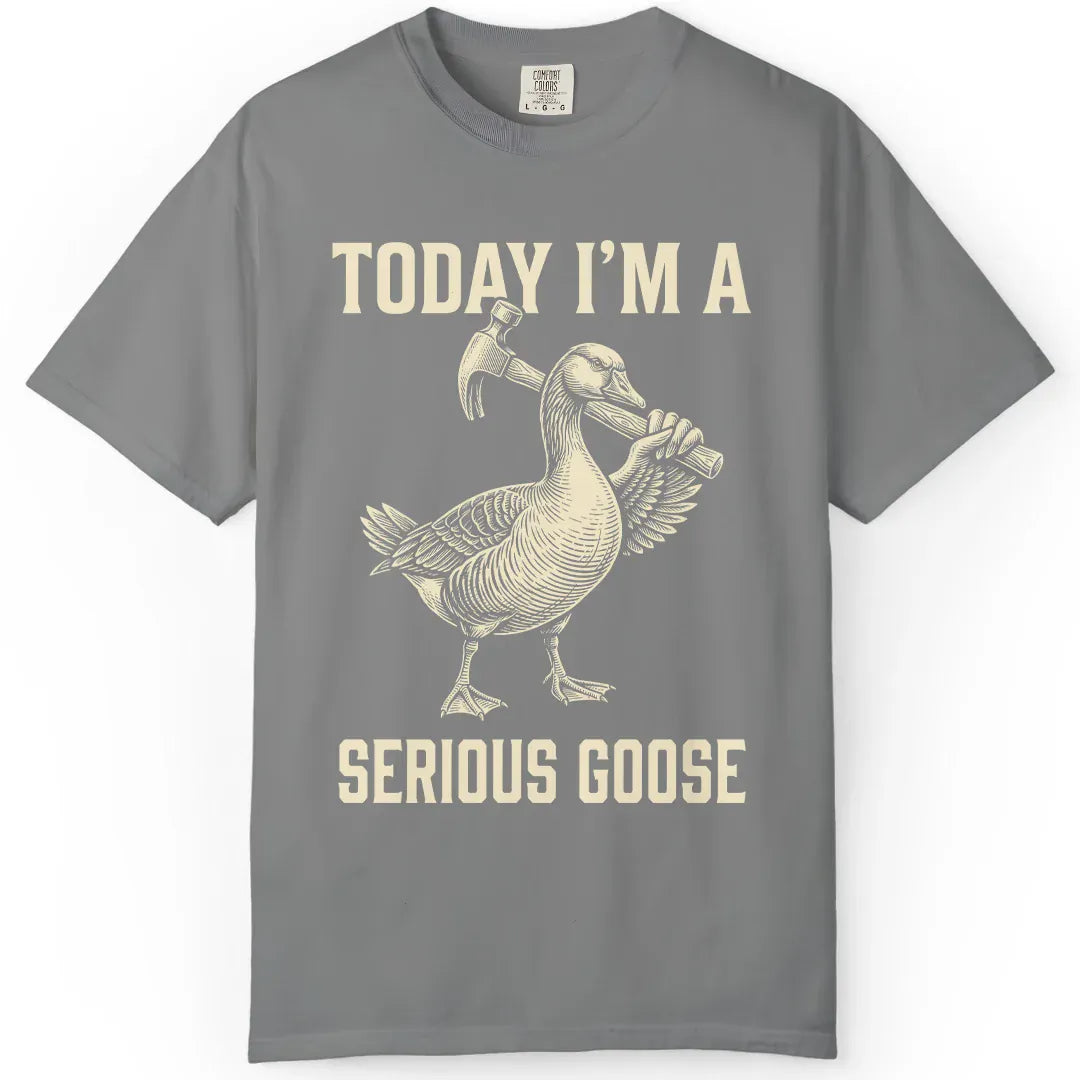 Today I'm Serious
