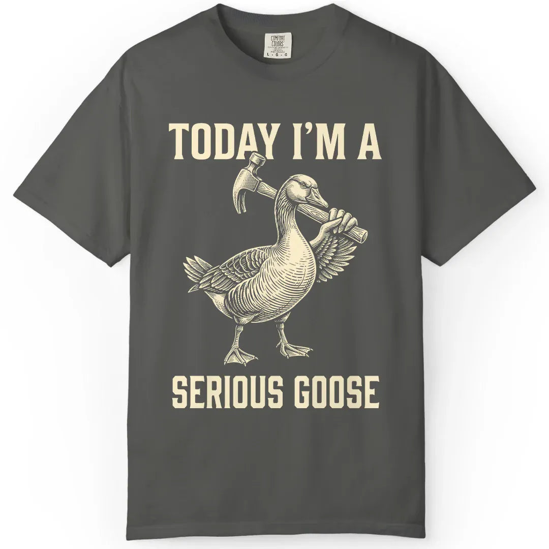 Today I'm Serious