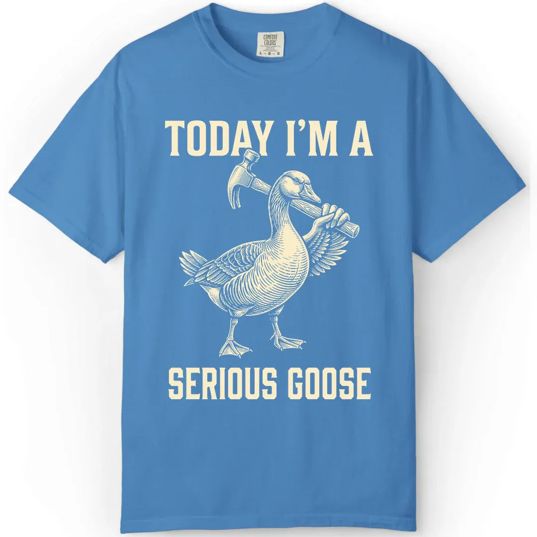 Today I'm Serious